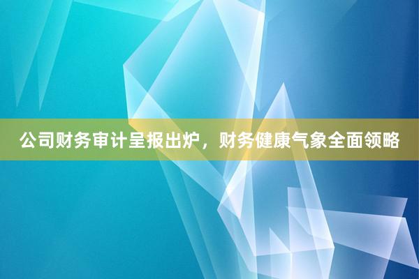 公司财务审计呈报出炉，财务健康气象全面领略